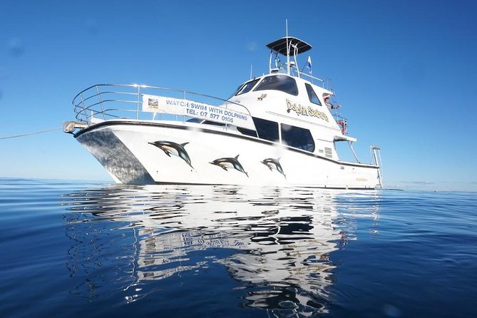Swim With Wild Dolphins in Tauranga - Tour Details