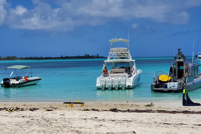 Swiming Pigs and Shark Tour Nassau to Exuma by Plane and Boat - Tour Overview and Highlights
