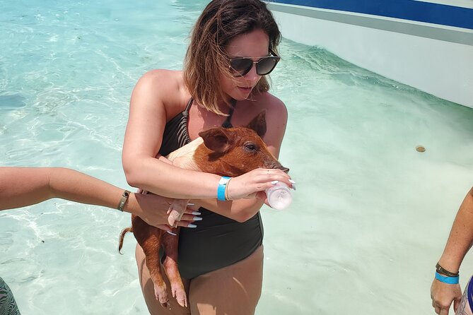 Swiming Pigs and Shark Tour Nassau to Exuma by Plane and Boat - Guest Reviews and Ratings