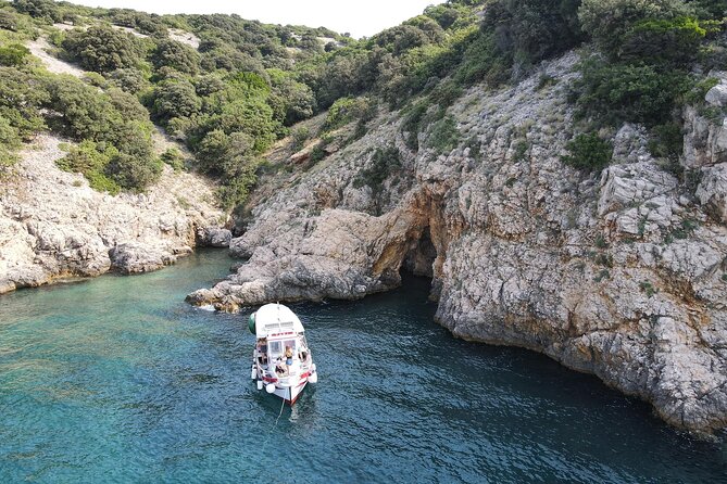 Swimming and Snorkeling on the Wild Bays 3.5 Hours (PUBLIC) - Reviews and Feedback