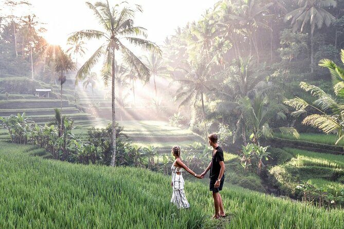 Swimming At Taman Sari Waterfall & Visit The Best Site Of Ubud - The Sum Up