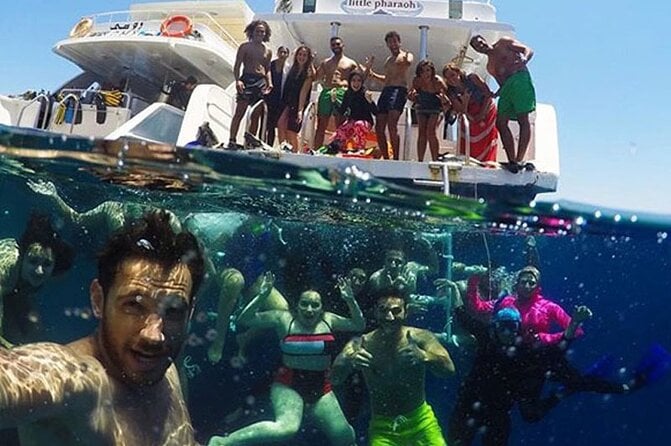 Swimming Close to Wild Dolphins From Hurghada - Snorkeling Locations and Experiences