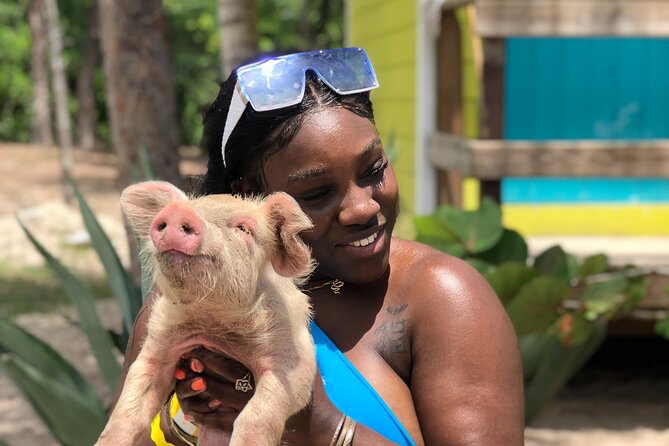 Swimming Pigs Beach Day+Snorkeling Bundle (Lunch+Tropical Drinks) - Tour Overview and Inclusions