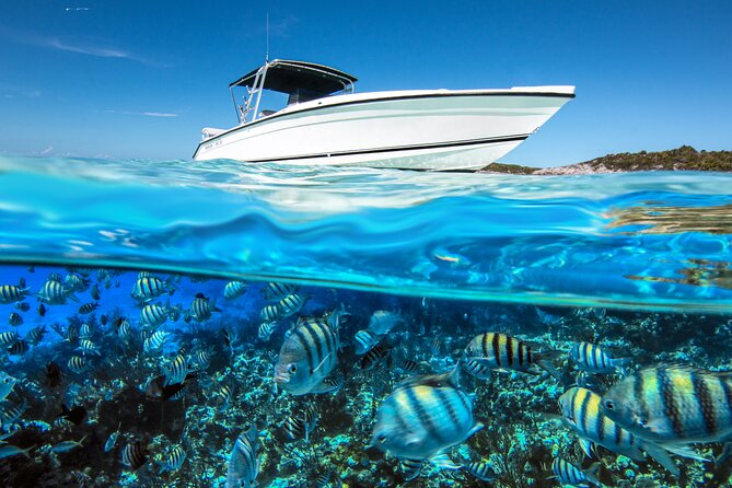 Swimming Pigs Island Turtles and Snorkeling Excursion 4 Stops - Tour Overview