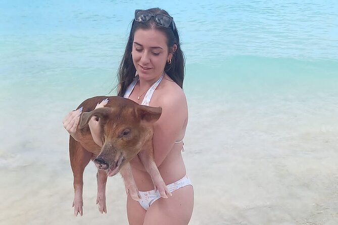 Swimming Pigs Island Turtles and Snorkeling Excursion 4 Stops - Participant Information