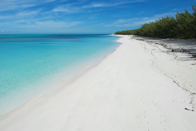 Swimming Pigs Island Turtles and Snorkeling Excursion 4 Stops - Reviews Summary