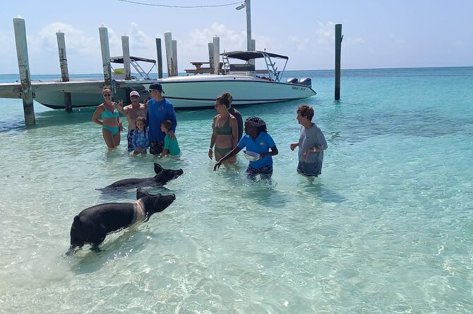 Swimming Pigs Island Turtles and Snorkeling Excursion 4 Stops - Tour Guides Praised