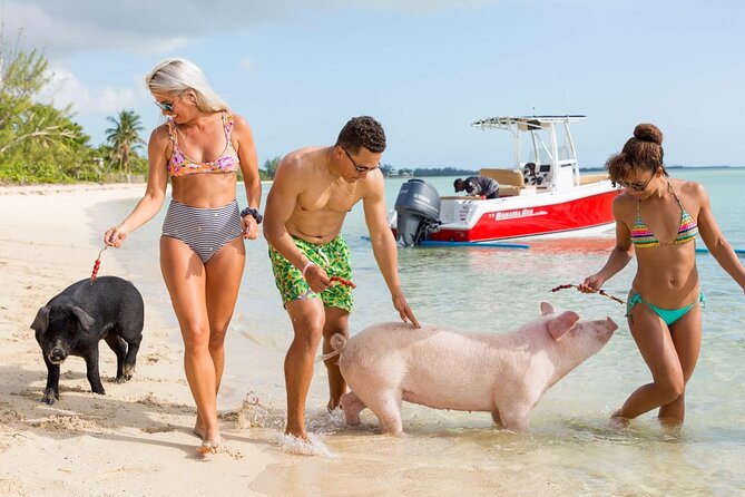 Swimming Pigs of Rose Island & Sea Turtle Viewing Group Tour - Relaxing on the Beach