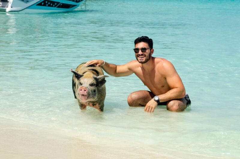 SWIMMING PIGS & SNORKELING 2HR BOAT TOUR FROM NASSAU - Itinerary Highlights