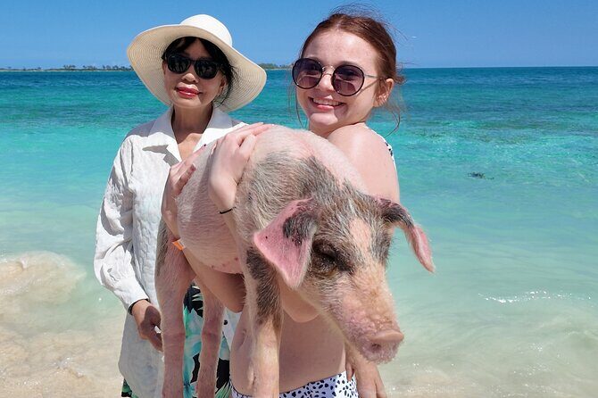 Swimming Pigs, Snorkeling and Beach Tour in Nassau Bahamas - The Practical Details