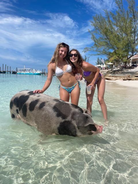 Swimming Pigs & Turtles Ultimate Excursion by Boat 3 Islands - Itinerary Highlights