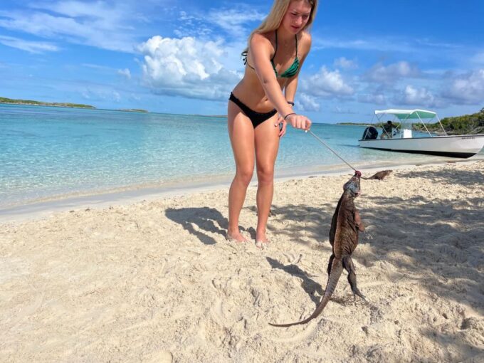 Swimming Pigs & Turtles Ultimate Excursion by Boat 3 Islands - Included Amenities