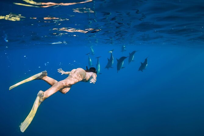 Swimming With Dolphin in Red Sea Adventure With Lunch - Hurgada - Snorkeling in Dolphin House