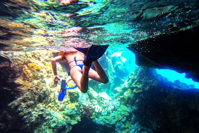 Swimming With Pigs in Exuma Private Tour From Nassau - Tour Overview