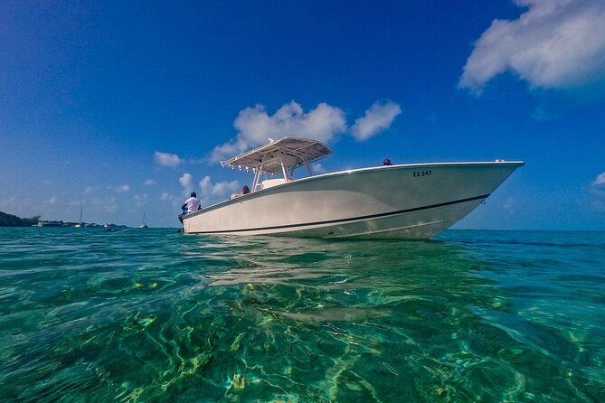 Swimming With Pigs in Exuma Private Tour From Nassau - Experiencing the Pigs