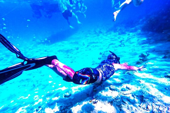 Swimming With Pigs in Exuma Private Tour From Nassau - Tour Overview