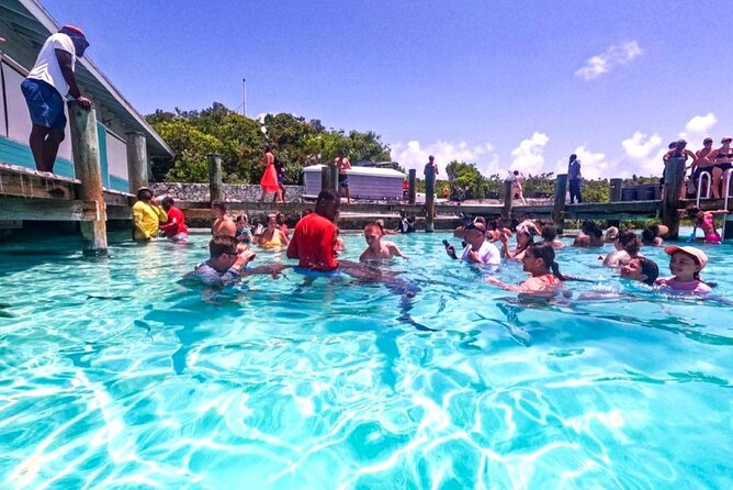 Swimming With Pigs in Exuma Private Tour From Nassau - Health and Accessibility