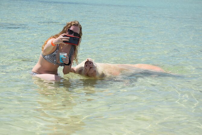 Swimming With Pigs in Nassau, Transportation Included - Guest Reviews
