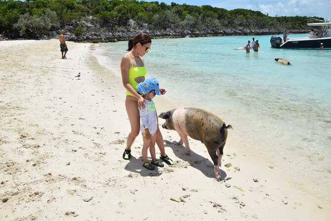 Swimming With Pigs in Nassau, Transportation Included - Confirmation