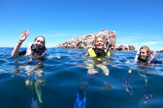 Swimming with sea lions in Isla Espiritu Santo, La Paz, Mexico - Key Points