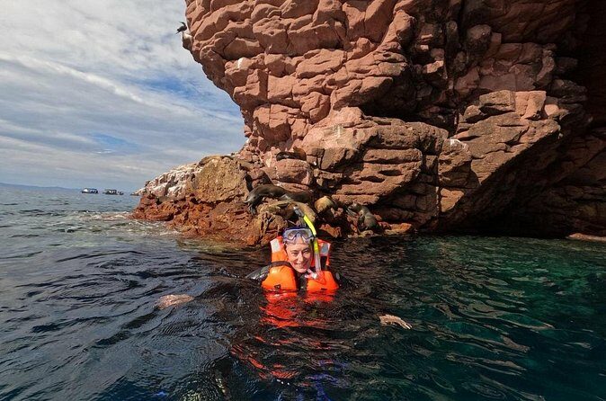 Swimming with sea lions in Isla Espiritu Santo, La Paz, Mexico - The Sum Up