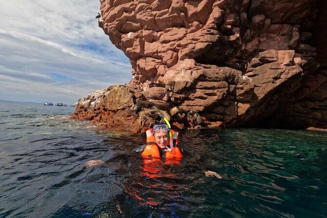 Swimming with sea lions in Isla Espiritu Santo, La Paz, Mexico - FAQ