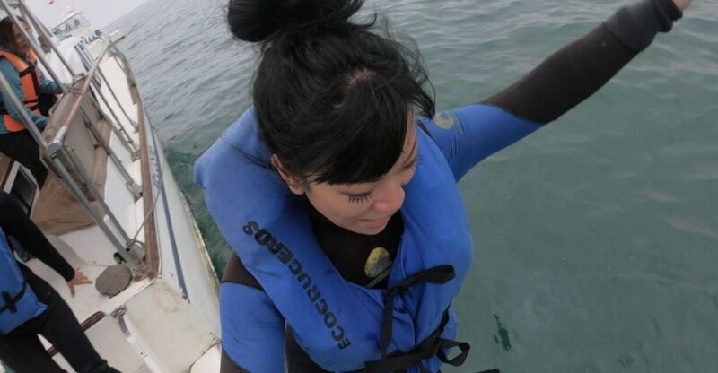 Swimming With Sea Lions in Lima - Highlights and Marine Life