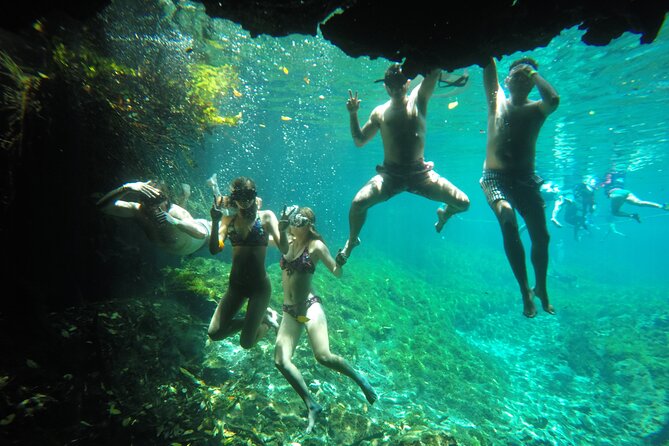 Swimming With Turtles, 2 Cenotes & Gopro - Frequently Asked Questions