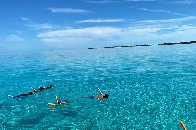 Swimming With Turtles, Snorkeling Reef and Beach Combo Tour - Inclusions and Amenities