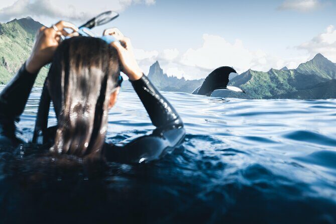 Swimming with Whales in Moorea (Half Day tour) - An In-Depth Look at the Moorea Whales Tour
