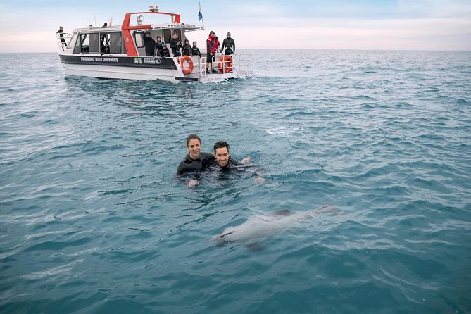 Swimming With Wild Dolphins in Akaroa - Safety and Accessibility