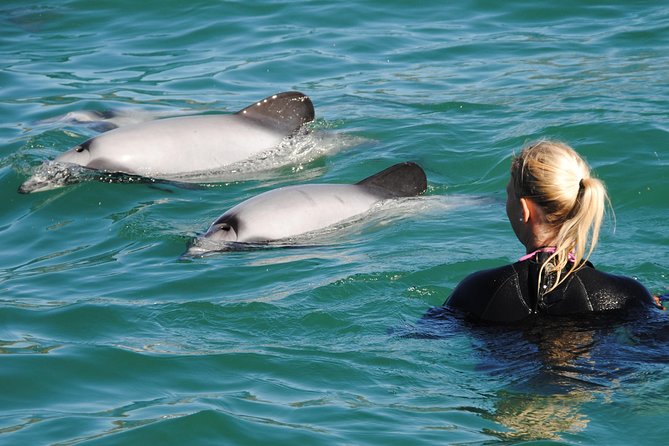 Swimming With Wild Dolphins in Akaroa - Refund and Cancellation Policy