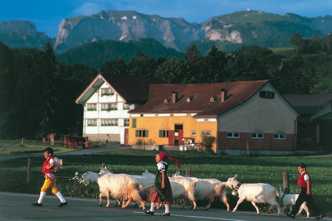 Swiss Cheese, Chocolates and Mountains Small-Group Tour From Zurich - Panoramic Cable Car Ride