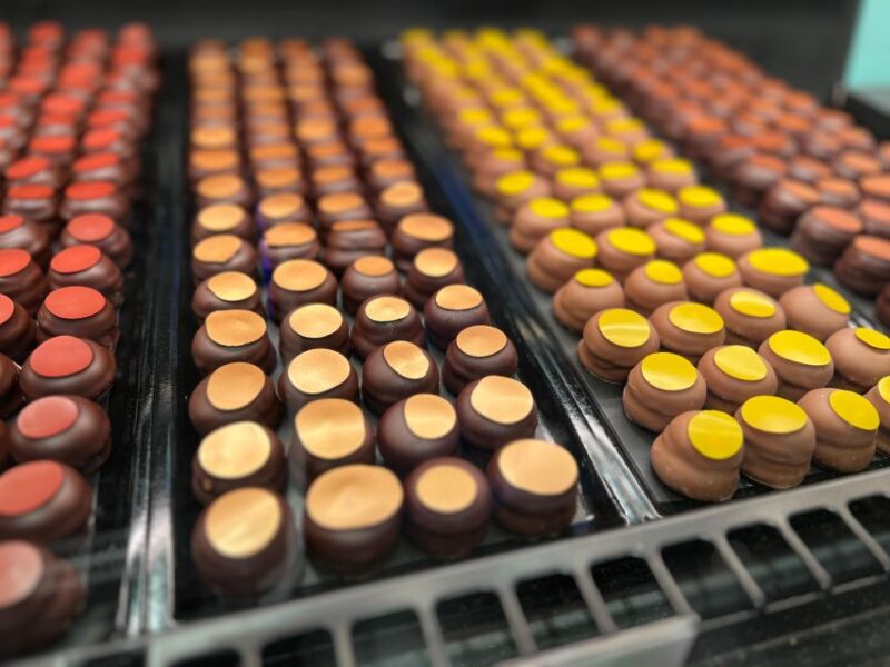 Swiss Chocolate Safari - Lion Monument Secrets