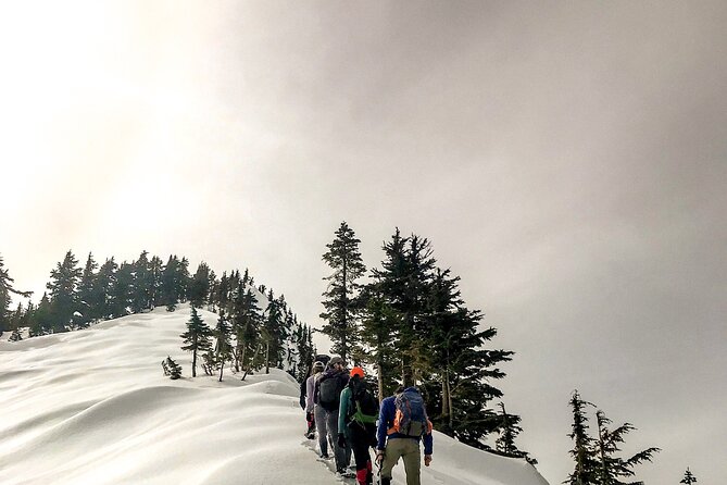 Swiss Ski Experience in Engelberg - Reviewing the Swiss Ski Experience
