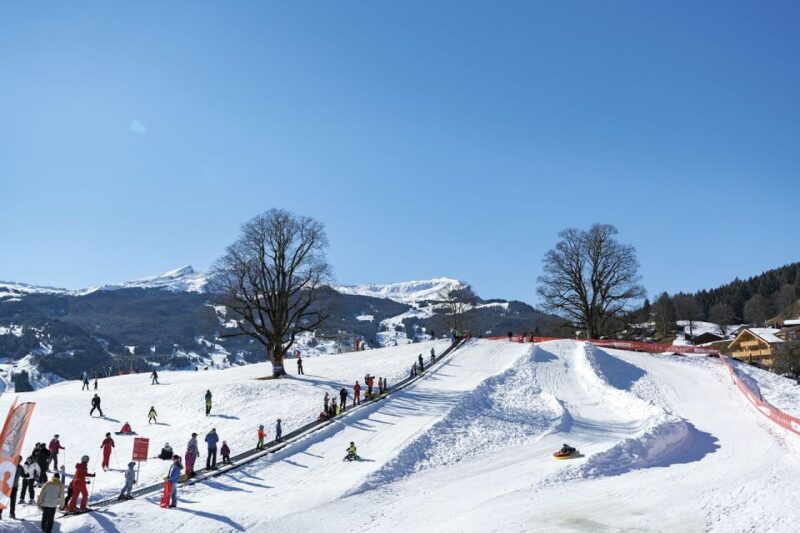 Swiss Ski Experience in the Jungfrau Region - Starting Location Options
