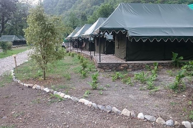 Swiss Tent Camping Near Dehradun - Meals and Activities