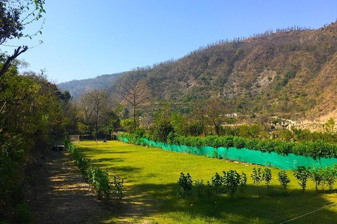 Swiss Tent Camping Near Dehradun - Pricing and Booking