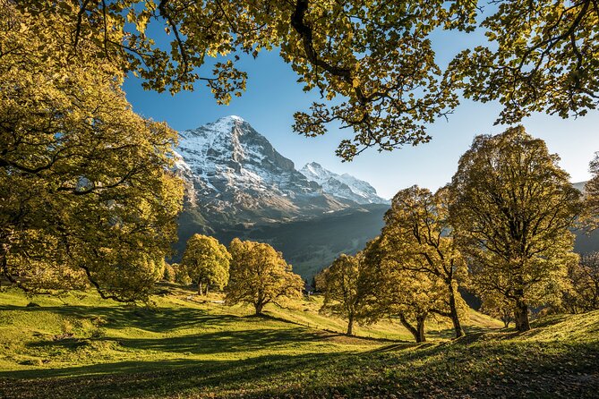 Swiss Villages Grindelwald and Interlaken Day Trip From Zurich - Group Size