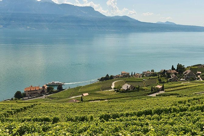 Swiss Wine Tasting at Lavaux Vineyards: Private Trip From Geneva - Highlights of the Tour Experience