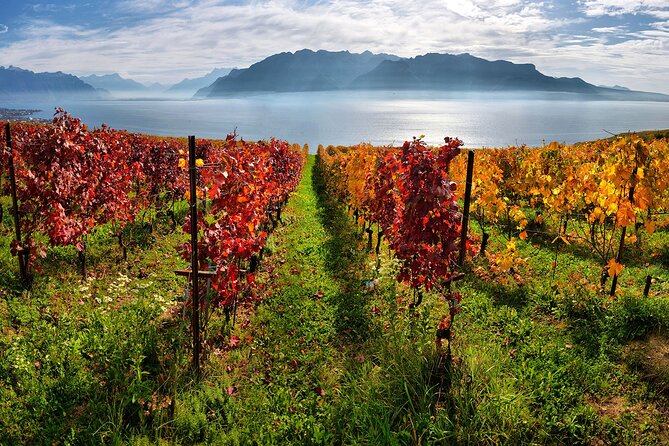 Swiss Wine Tasting at Lavaux Vineyards: Private Trip From Geneva - Exploring the UNESCO-listed Vineyards