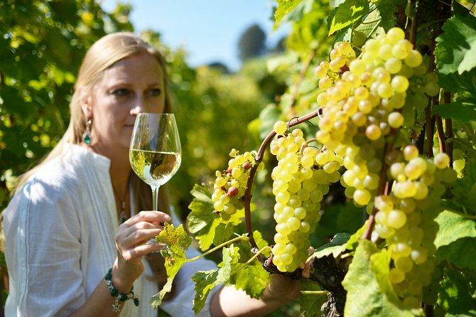 Swiss Wine Tasting at Lavaux Vineyards: Private Trip From Geneva - Additional Information and Considerations