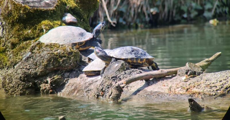 Switzerland: Closer to Nature. Private Nature Safaris - Guided Experience and Expertise
