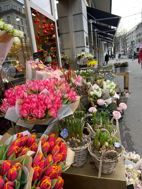 Switzerland From Expert. Daily or Hourly Tours - Pricing and Booking