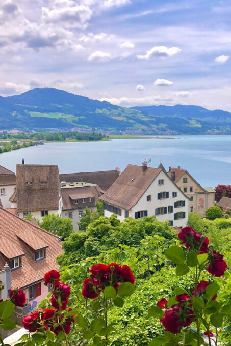 Switzerland From Expert. Daily or Hourly Tours - Cancellation Policy