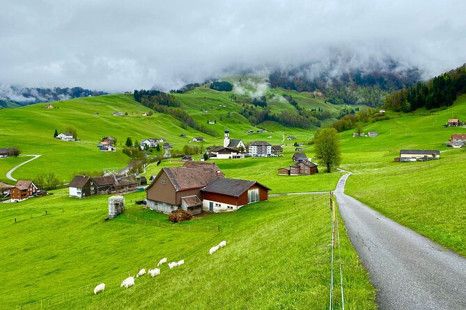 Switzerland Picturebook Private Tour: Farm, Villages, & Mountains - Accessibility and Participation