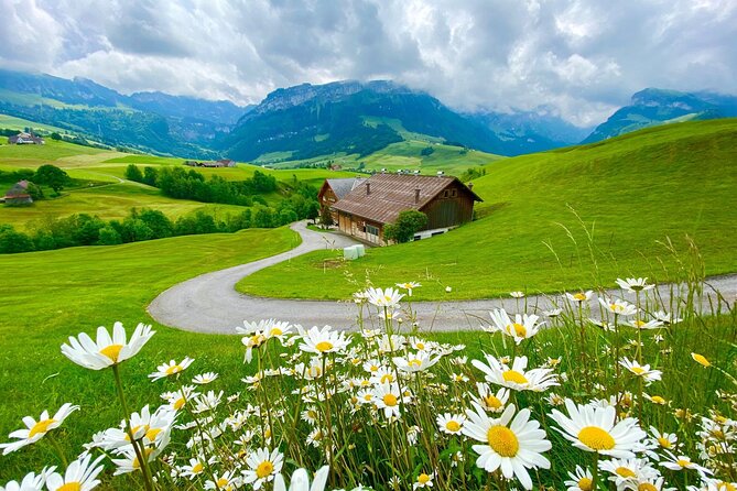 Switzerland Picturebook Private Tour: Farm, Villages, & Mountains - Reviews and Ratings