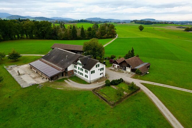 Switzerland Picturebook Private Tour: Farm, Villages, & Mountains - Additional Details