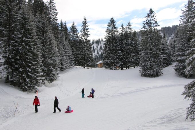 Switzerland: Private Sledging Day Tour - About the Swiss Alps