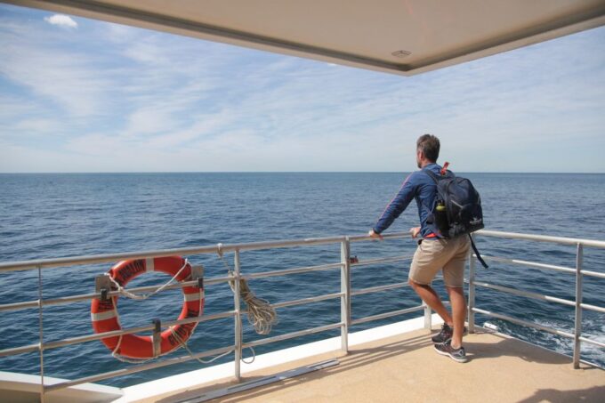 Sydney: 3-Hour Whale Watching Tour by Catamaran - Cancellation Policy